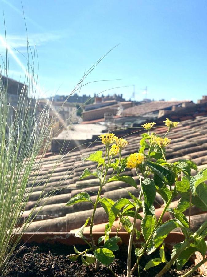 Rooftop Face A La Cite 'Rfc' Carcassonne Exterior photo